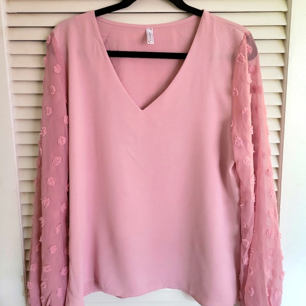 Rose Chiffon Swiss Dot Women's Top